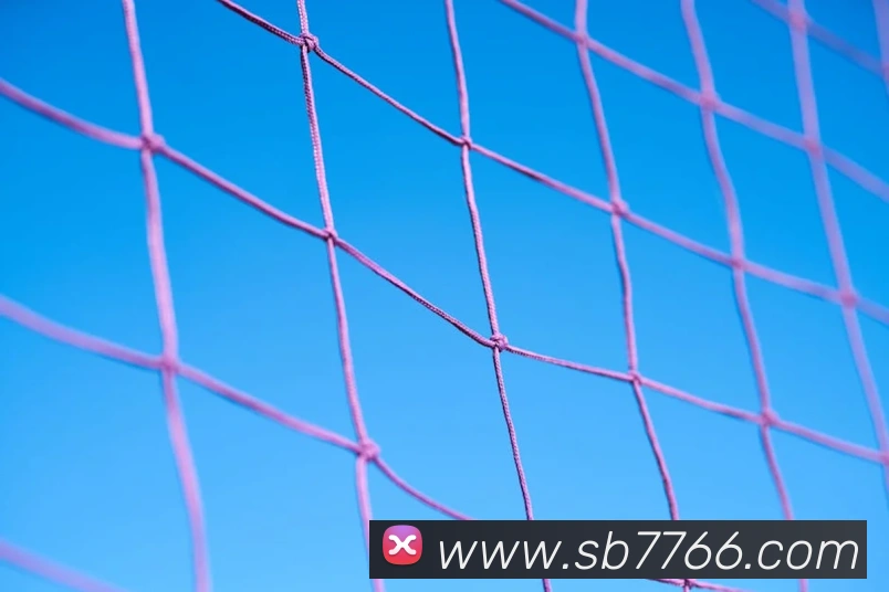 sunbet申博服务体系
